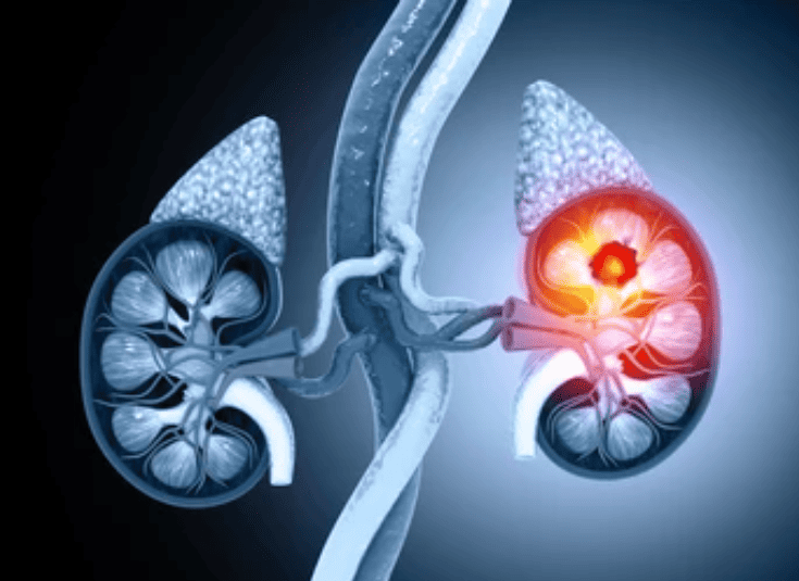 SLIDERIMAGE_1733949130574898_10105